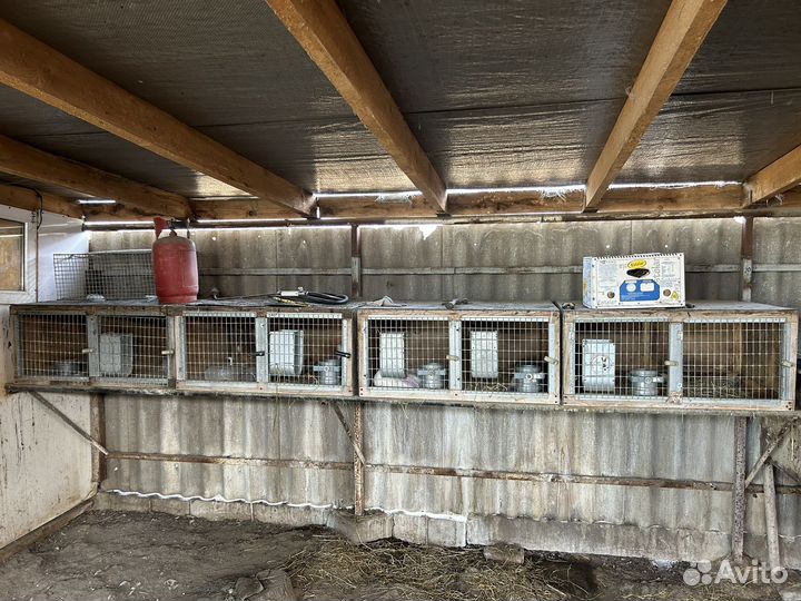 Металические клетки для кроликов и нутрий