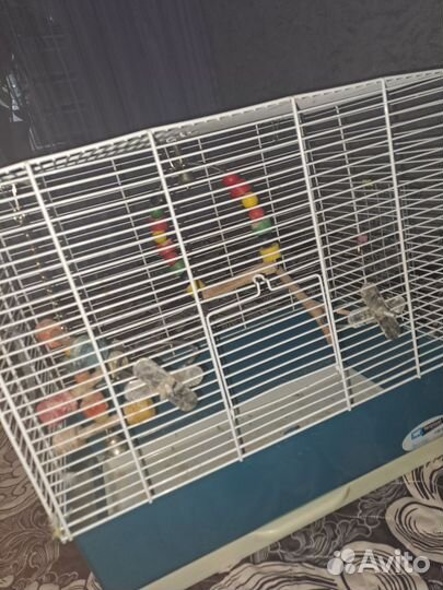 Клетка для попугая,самовывоз