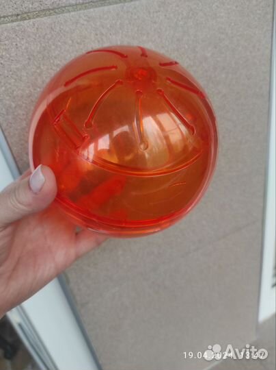 Шар для джунгарика