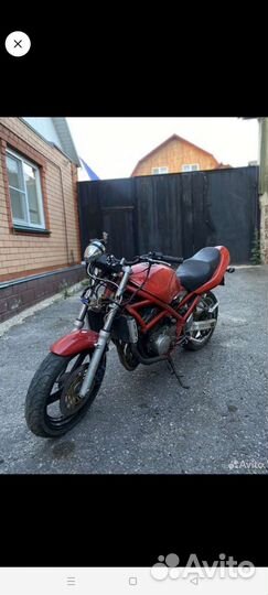 Suzuki bandit 250 (2)