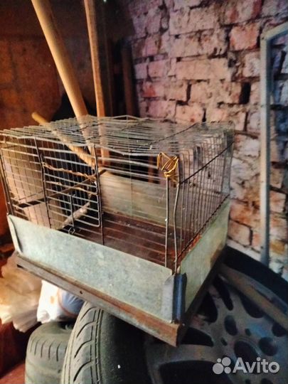 Ловушка для птиц. Клетка для птиц