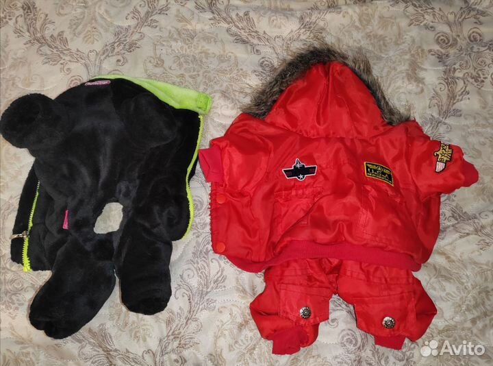 Одежда для чихуахуа