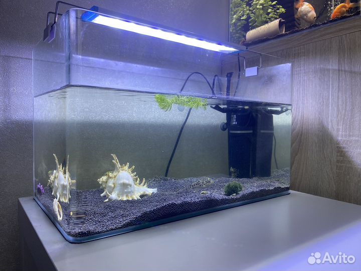 Фильтр для аквариума aquael, лампа, грелка