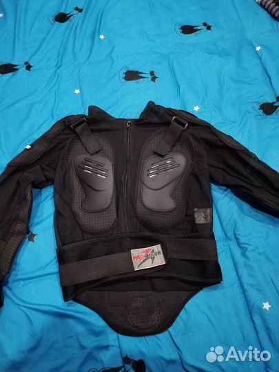 Моточерепаха