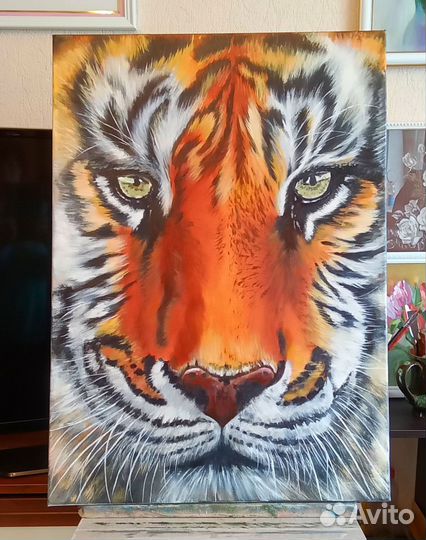 Тигр. Картина. Масло, холст на подрамнике, 50х70