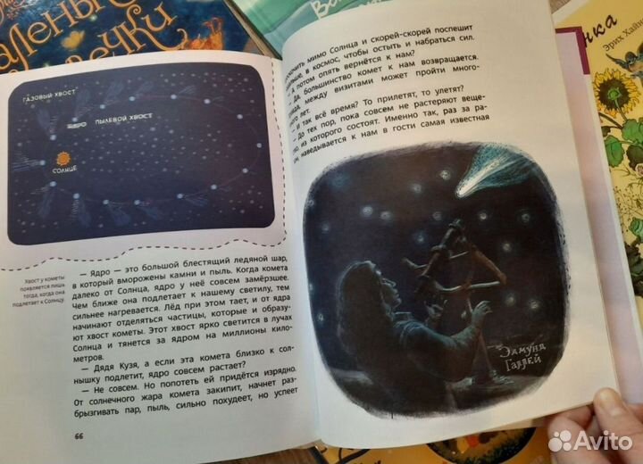 Книга Чехвостик