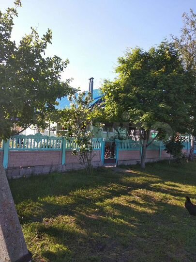 Дом 50 м² на участке 46 сот.
