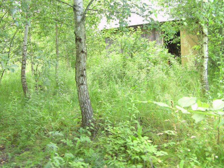 Дача 49 м² на участке 16 сот.