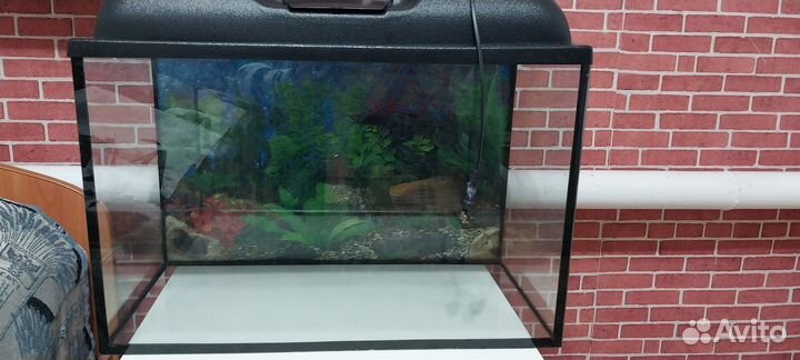 Аквариум