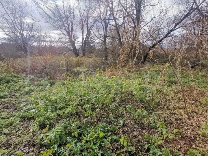 Участок 31 сот. (ИЖС)