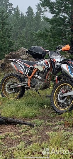 Zuum px 250