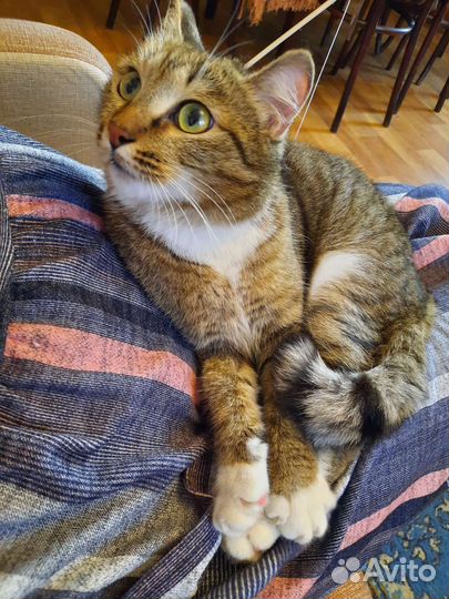 Европейская