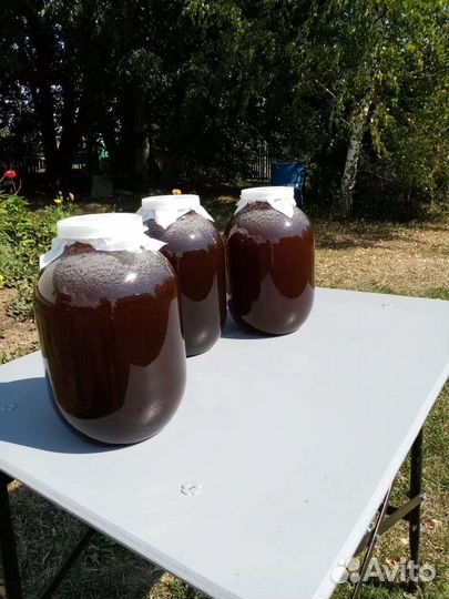 Свежий мед 2023 разнотравье