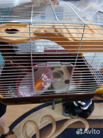 Клетка для Джунгарского хомяка