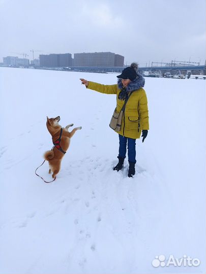 Помощница по дому няня