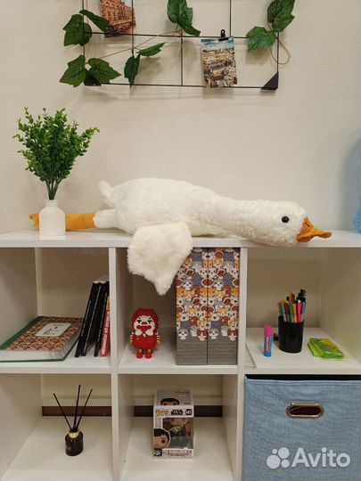 Курсы английского языка