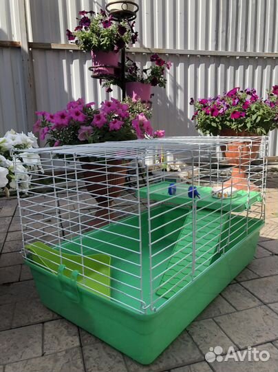 Клетка для грызунов