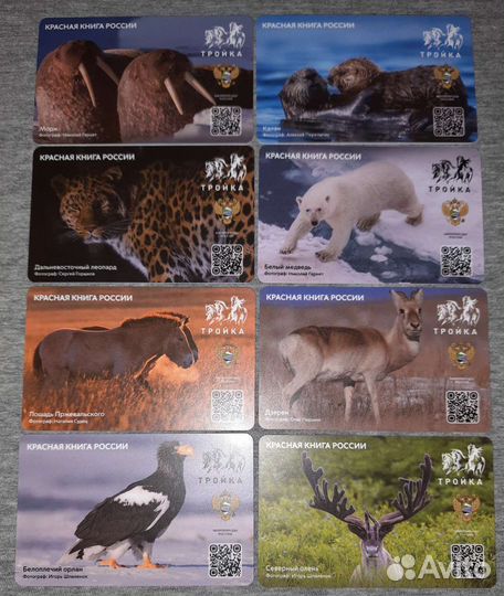 Карта тройка «Красная книга России»