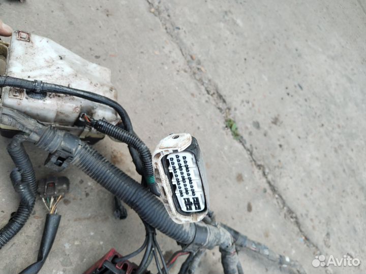 Проводка подкапотная таета функарго/Toyota 2NZ ат