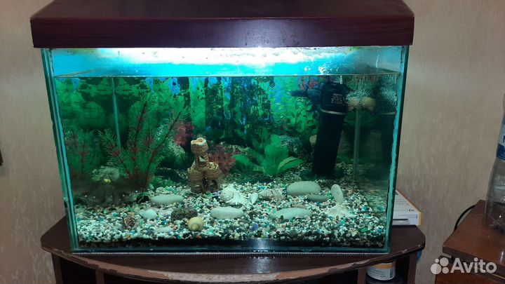 Аквариум