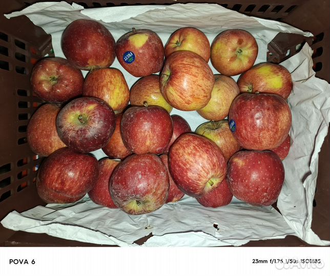 Опт и разница фруктов и овощей