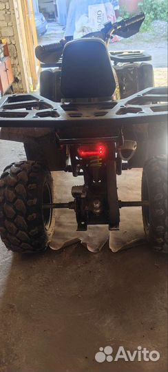 Avantis hunter 200 new lux