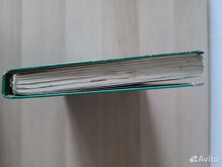 Незнайка в солнечном городе 1996, Дом