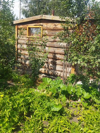 Дача 20 м² на участке 5 га