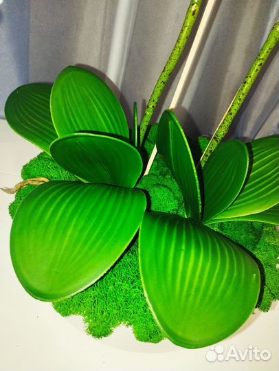 Орхидея искусственная композиция