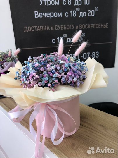 Цветы гипсофила