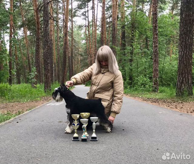 Вязка