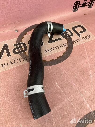 Патрубок радиатора верхний Solaris Rio 2017-1.4L