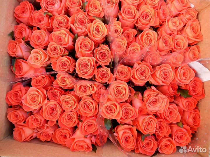 Цветы розы букет