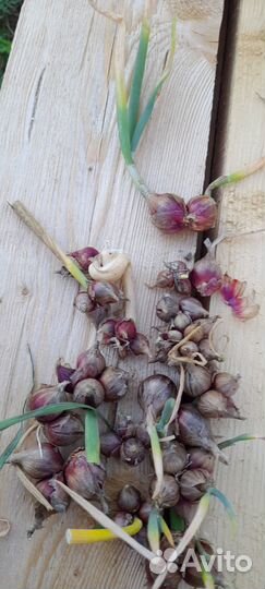 Многоярусный лук