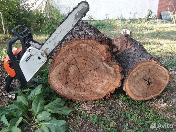 Спил деревьев и покос травы