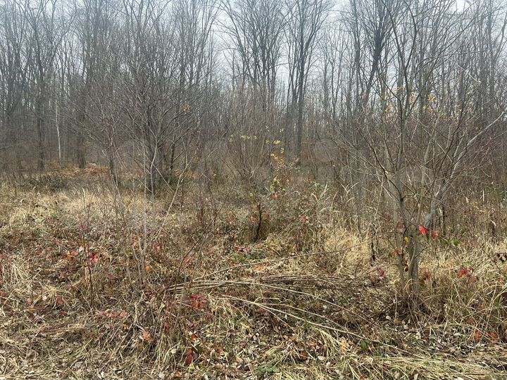 Участок 9,9 сот. (СНТ, ДНП)