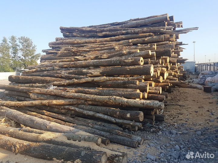 Дрова из березы от 6м3