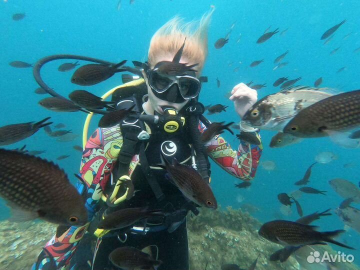 Дайвинг в Геленджике