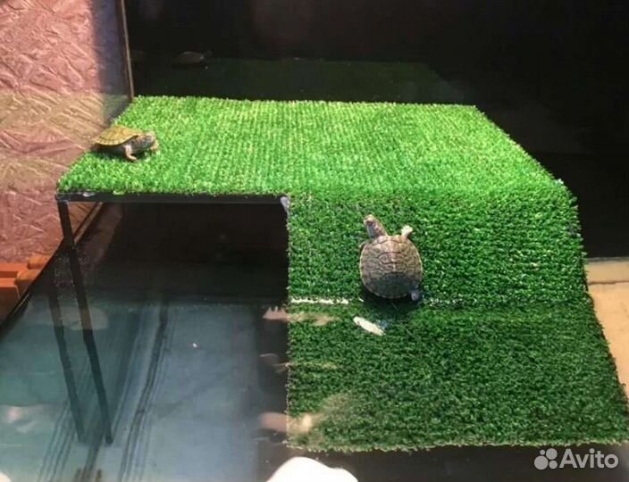 Коврик для террариума