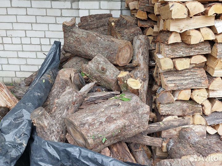 Продам спиленную яблоню на дрова