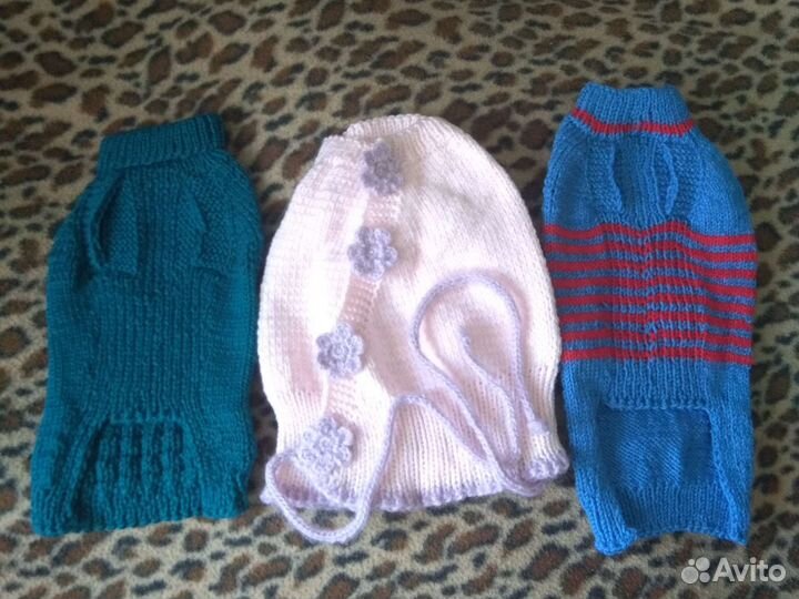 Одежда для животных