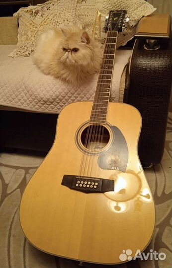 12тиструнная гитара