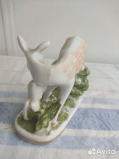 Олениха с олененком