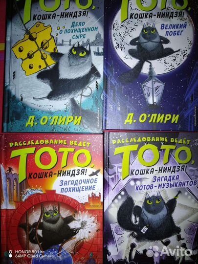 Тото кошка ниндзя. Детский детектив