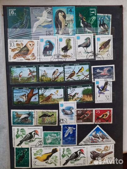 Альбом с марками