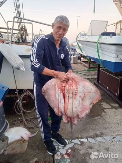 Рыбалка в Анапе