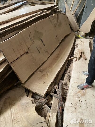 Слеб, спил, слэб Дуб, бук, карагач, акация