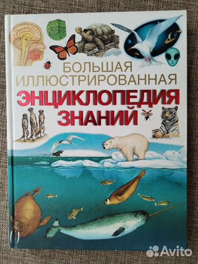 Энциклопедия для детей