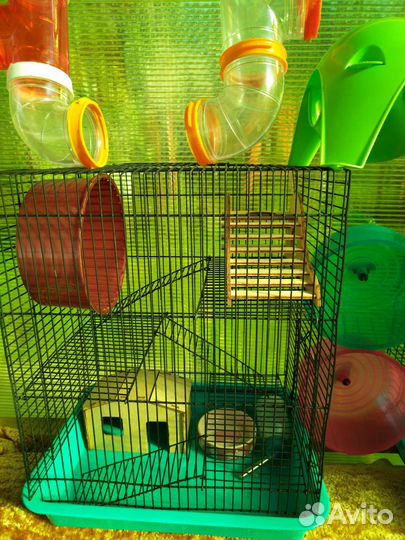 Клетка для грызунов бу