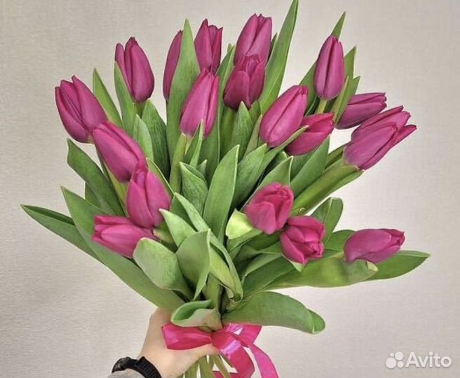 Тюльпаны краснодарские 70см+